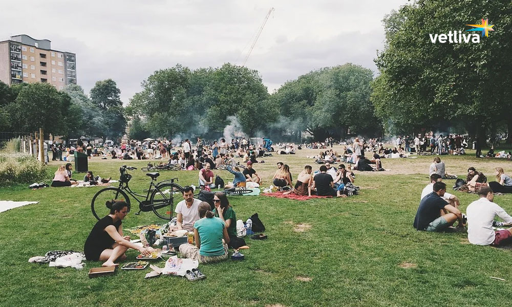 Люди отдыхают в Степянском лесопарке