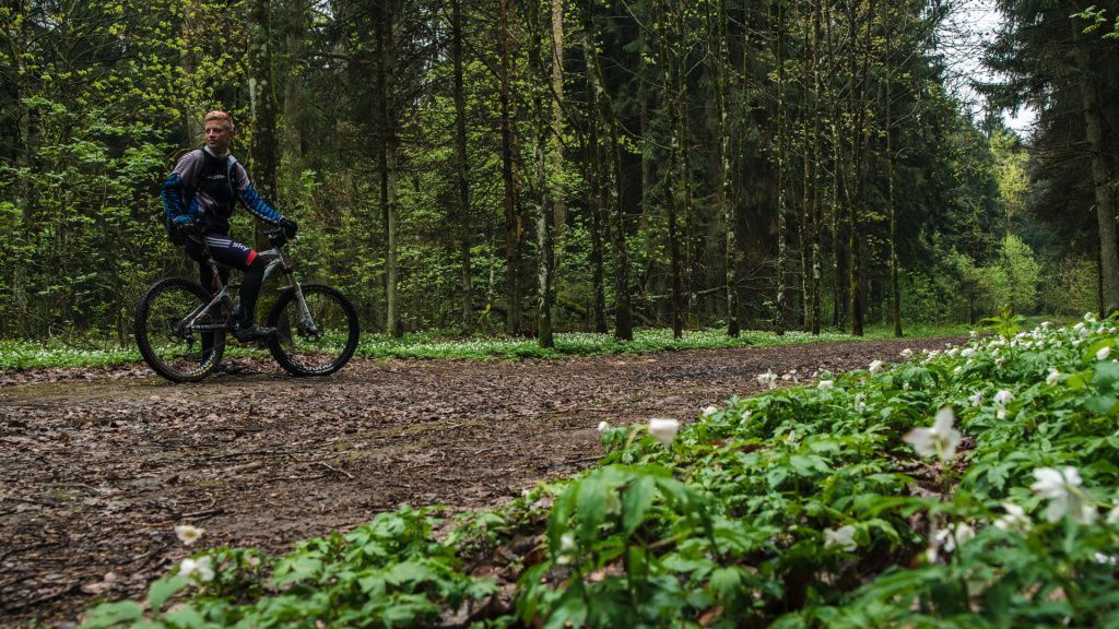 могилевский Печерский лесопарк