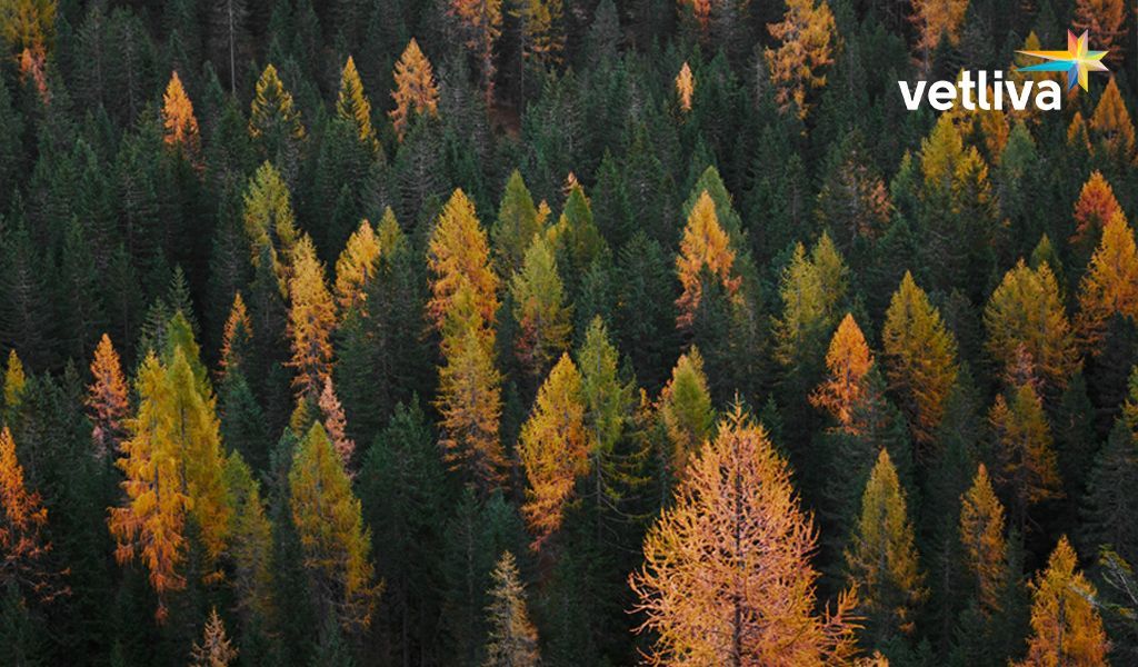 Куда поехать осенью недорого?