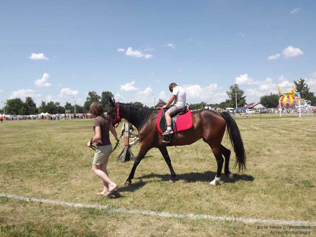 агроусадьба роза ветров.jpg