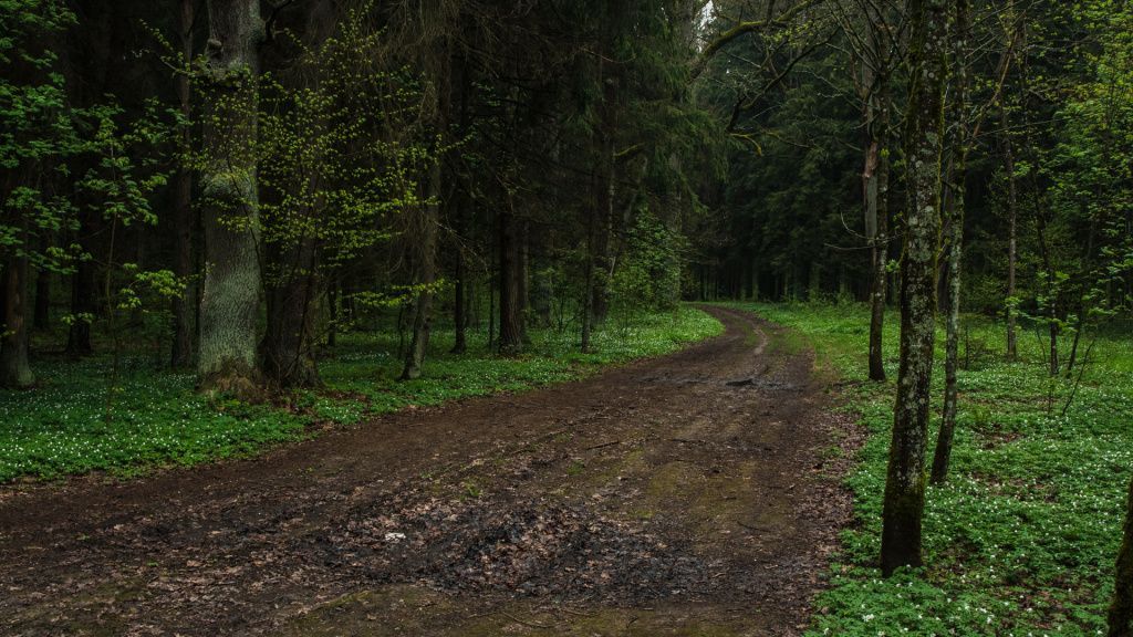 Печерский лесопарк могилев карта