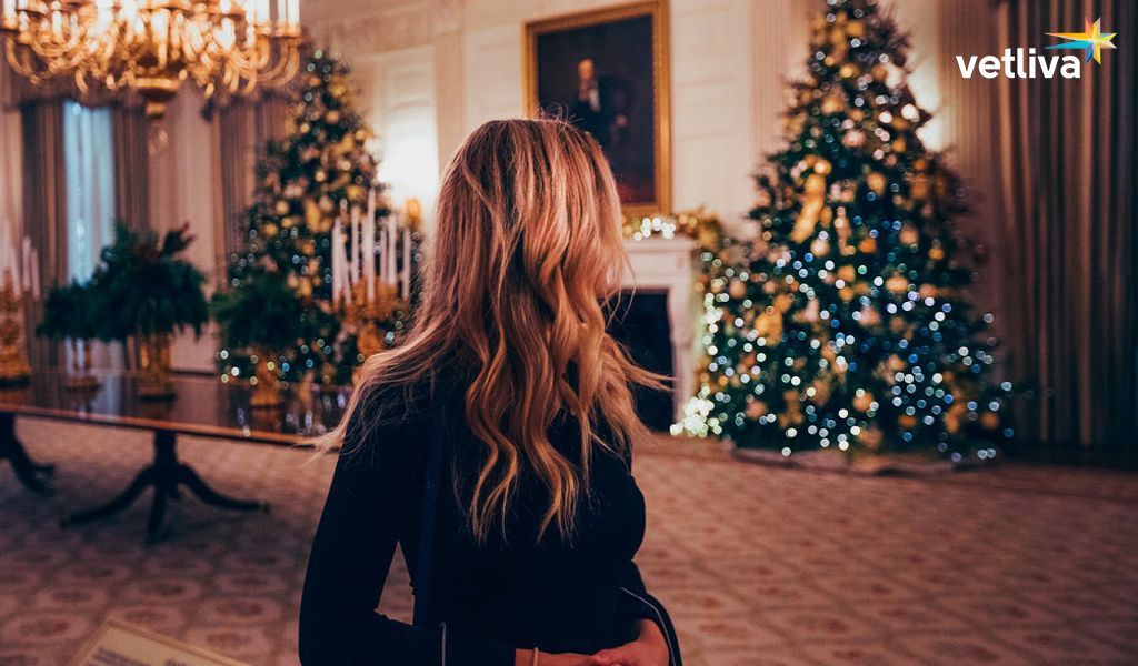 Что VETLIVA успел сделать? Результаты года VETLIVA