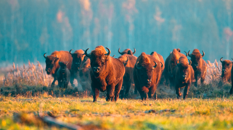 Что можно увидеть во время экскурсии