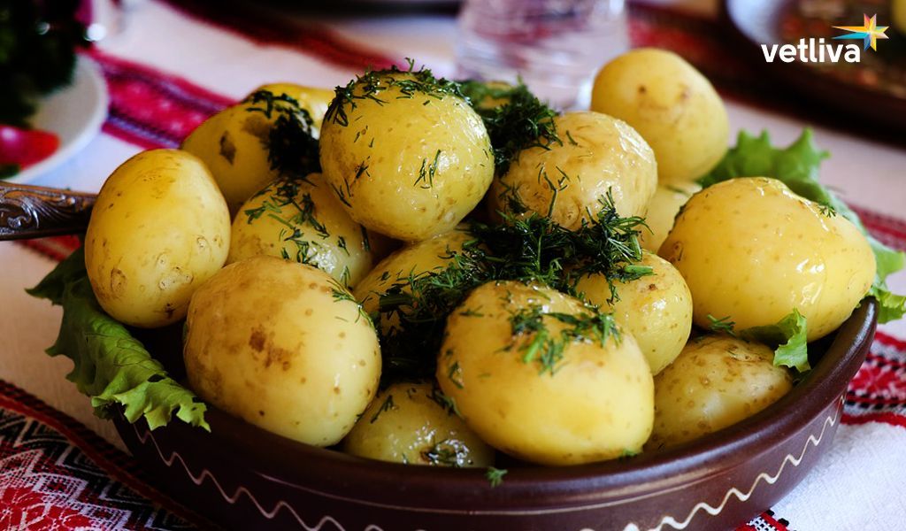 Беларусь: страна изысканных блюд и уникальных рецептов