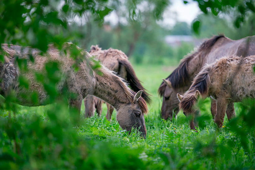 f562eb1e90aee32313b0e9855c65beb9 SB.jpg