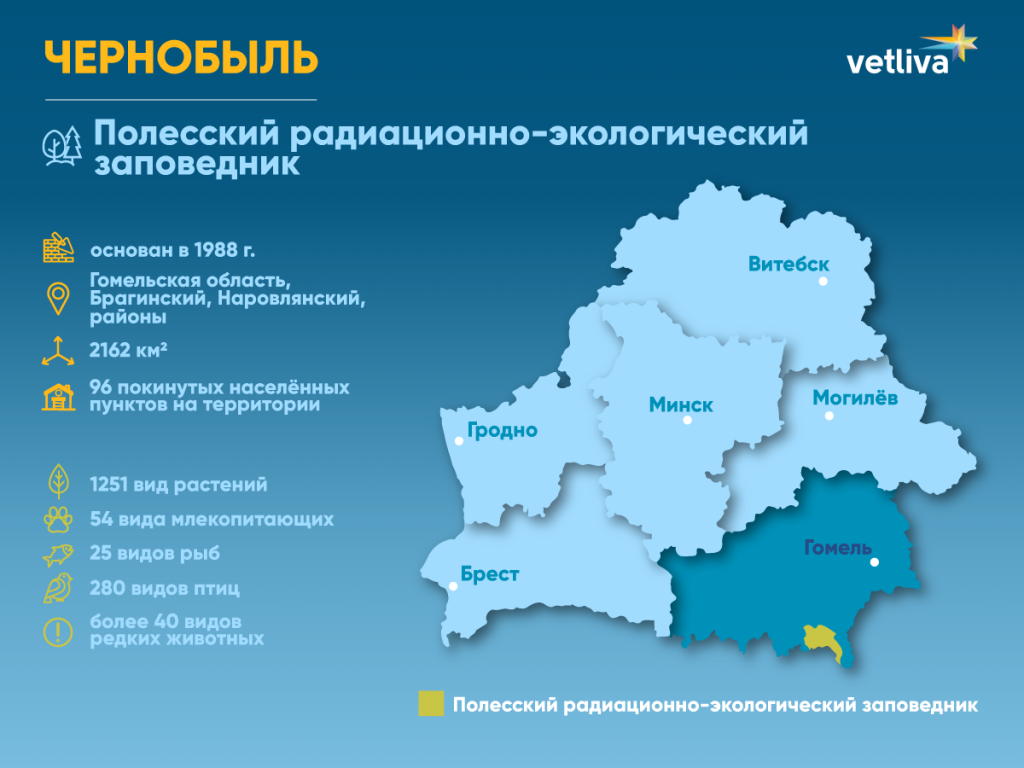 Карта белоруссии гомельская область