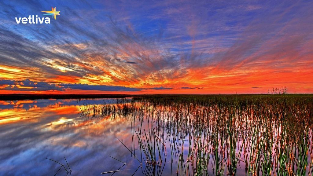 Национальный парк Припятский в Белоруссии