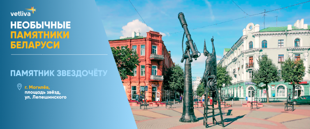 Памятник Звездочёту