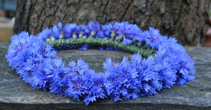 Браславские зарницы - 2020