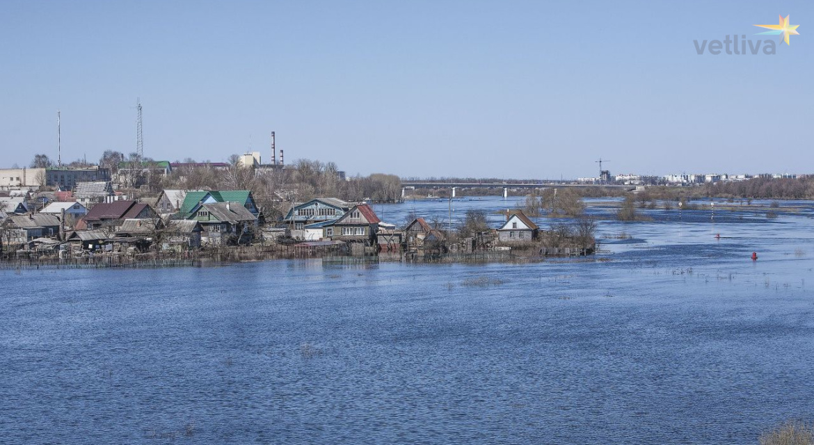 Бобруйск фото города