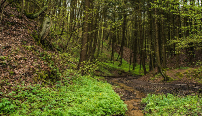 Целебный источник в деревне Полыковичи