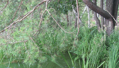 Чигиринское водохранилище