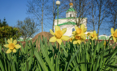 г.п. Кореличи