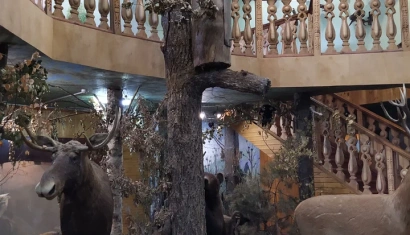 Музей Природы в Турове