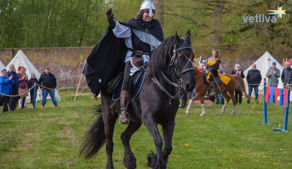 Рыцарский фестиваль, Мстиславль 2019