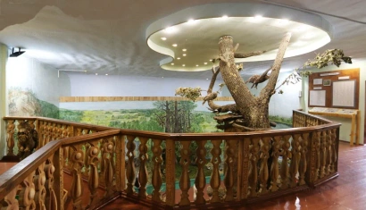 Музей Природы в Турове