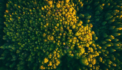 Национальный парк «Нарочанский»