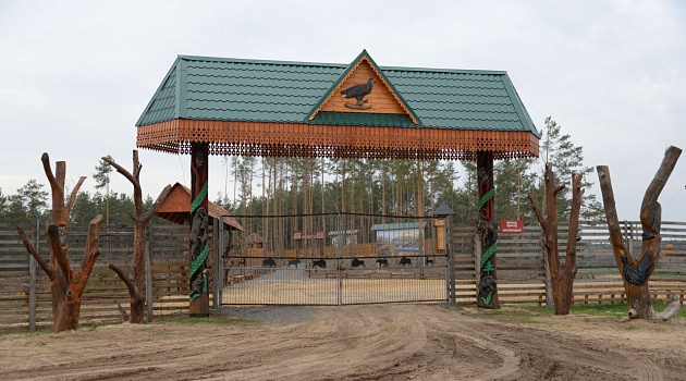 «Сафари-парк» в Национальном парке Припятский