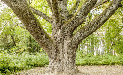 д. Грудиновка