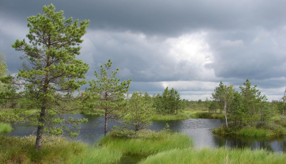 Заказник «Острова Дулебы»