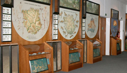 Костюковичский краеведческий музей