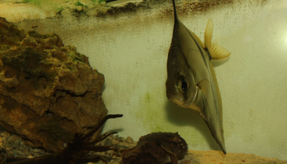 Центр океанографии «Открытый океан» в Минске