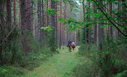 Тур  «Отдыхаем активно!»