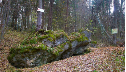 Геологический памятник природы местного значения «Змеев камень»
