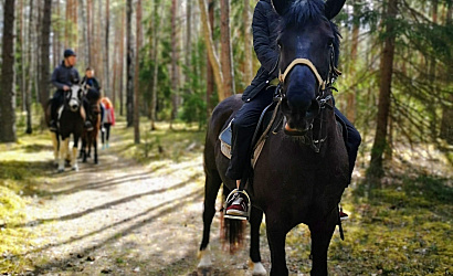 Тур  «Отдыхаем активно!»