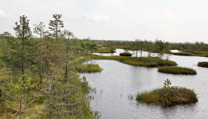 Заказник «Острова Дулебы»
