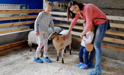 Развлекательный центр «Пиксель»