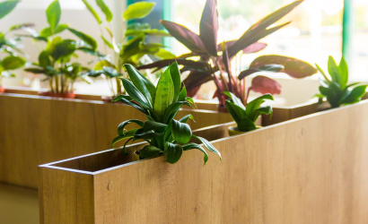 Кафе-пиццерия «Пицца Смайл»