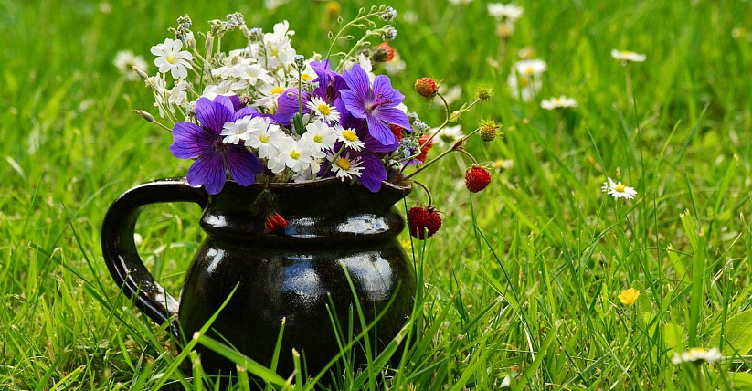 Купальское колесо