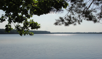Заказник «Селява» и озеро Селява в Крупском районе