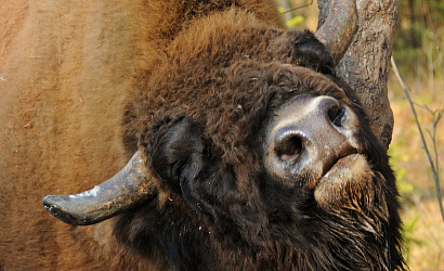 Тур "Выходные в заповеднике"
