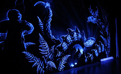 Тур "Выходные в заповеднике"