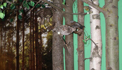 ГУК “Краснопольский районный историко-этнографический музей”