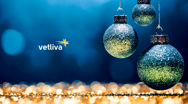 Где провести зимние каникулы в Беларуси