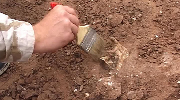 Под Верхнедвинском нашли керамику, датируемую I-IV веком н.э