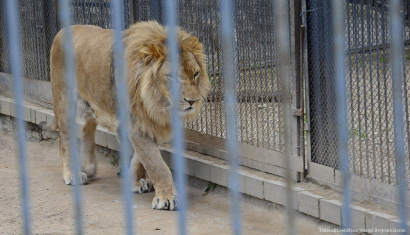 Гродненский зоопарк
