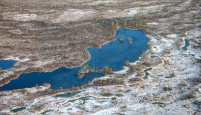 Ландшафтный заказник «Ельня»