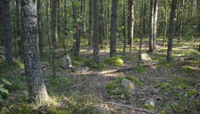 Заозерский «Стоунхендж»