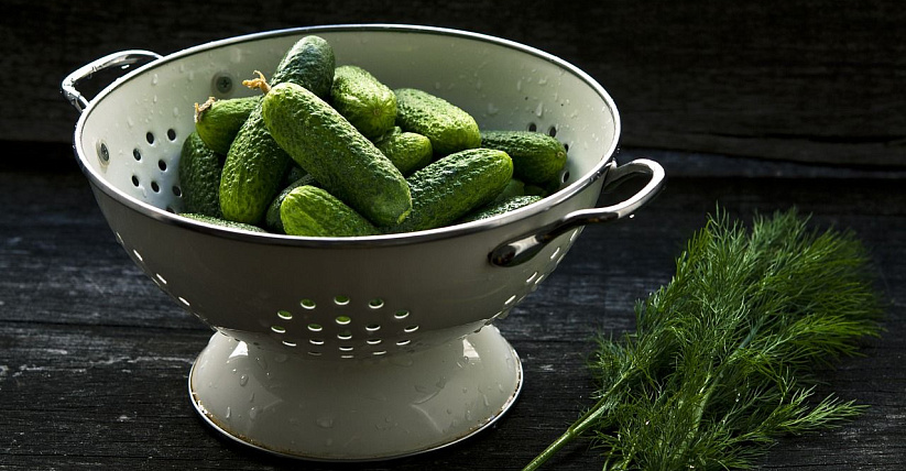 День огурца