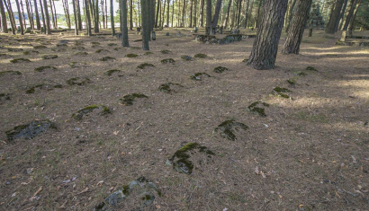 Немецкое кладбище периода Первой Мировой войны в деревне Проньки