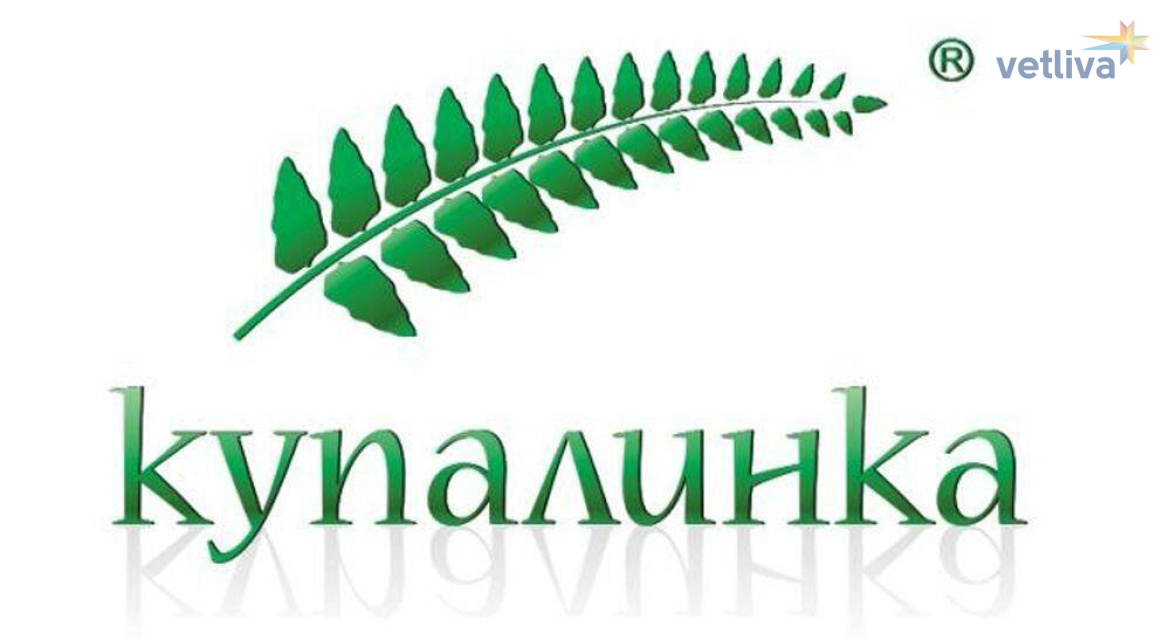 Белорусские компании. Купалинка. «Купалинка» лого. Белорусский бизнес логотип. Купалинка символ.