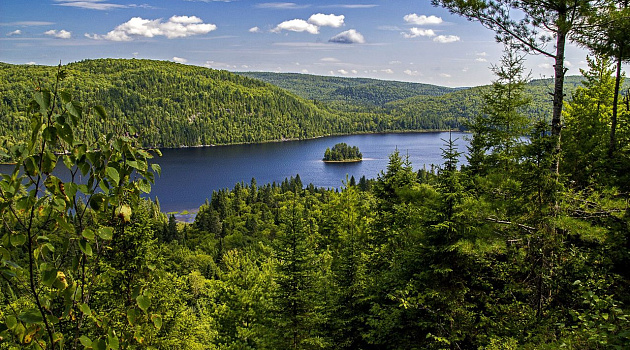 Нарочь или Браславские озера: что выбрать?