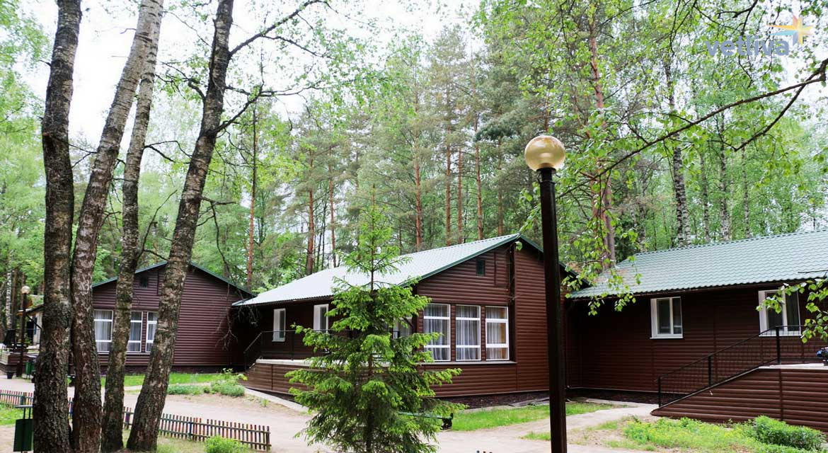 база девино