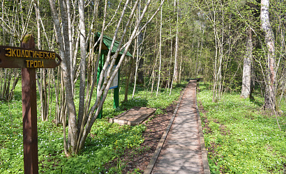 Тур "Дружная семейка"