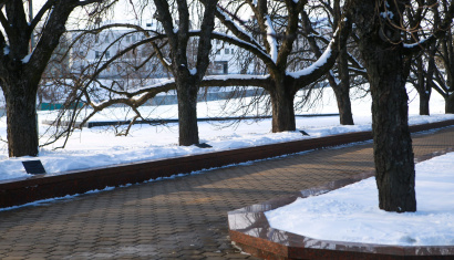 Аллея Дружбы в Минске