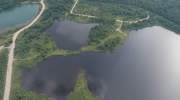 ГЛХУ «Красносельское»